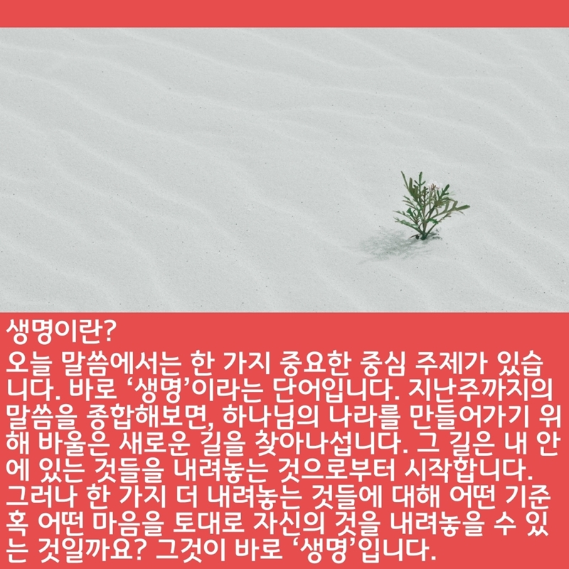 2020_06_21-성령강림-후-셋째주일-온라인-예배문-20.jpg