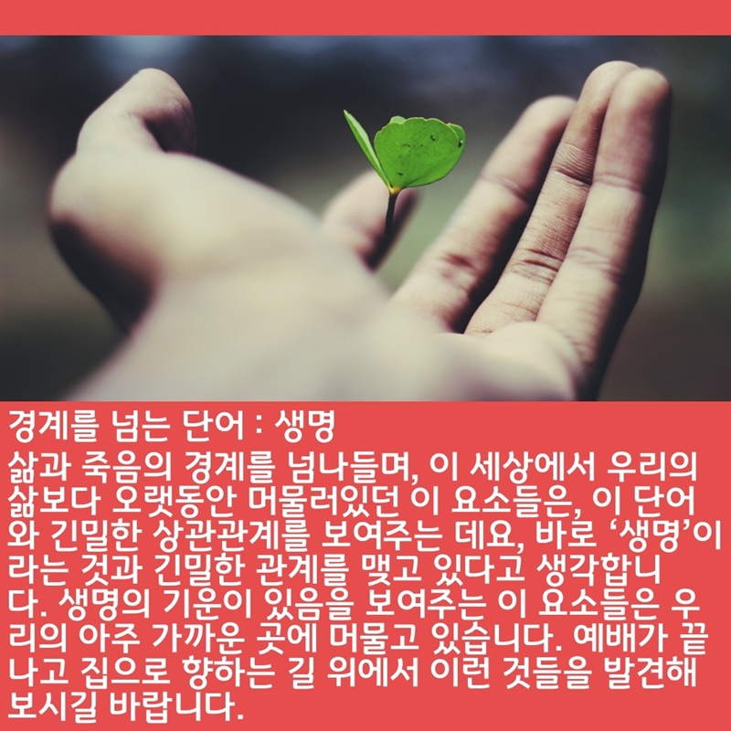 2020_06_21-성령강림-후-셋째주일-온라인-예배문-17.jpg
