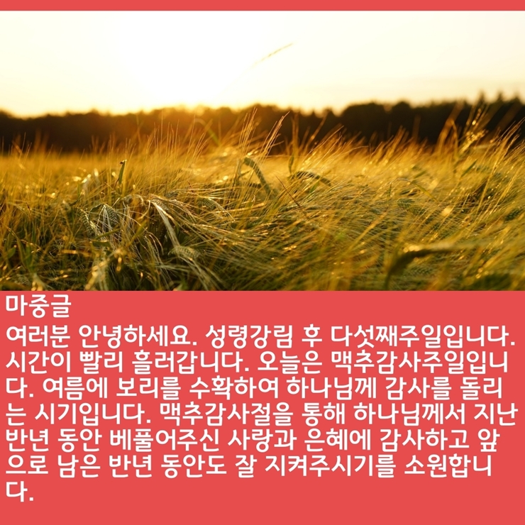 2020_07_05-성령강림-후-다섯째주일-온라인-예배문-13.jpg